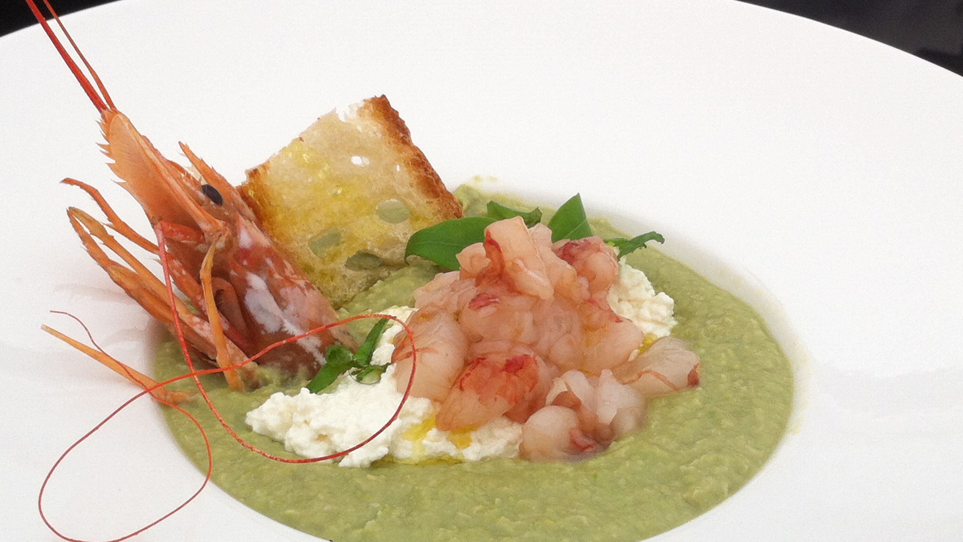 cerma fave, ricotta e tartare gambero marinato nel mirto Vescera