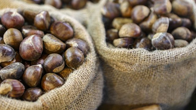 castagne friggitrice