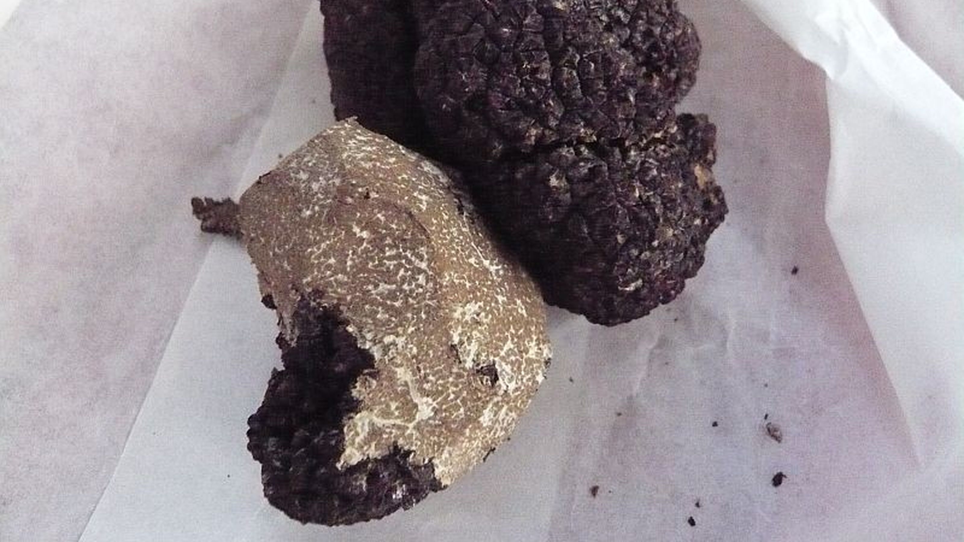 Galleria Ottobre tartufo
