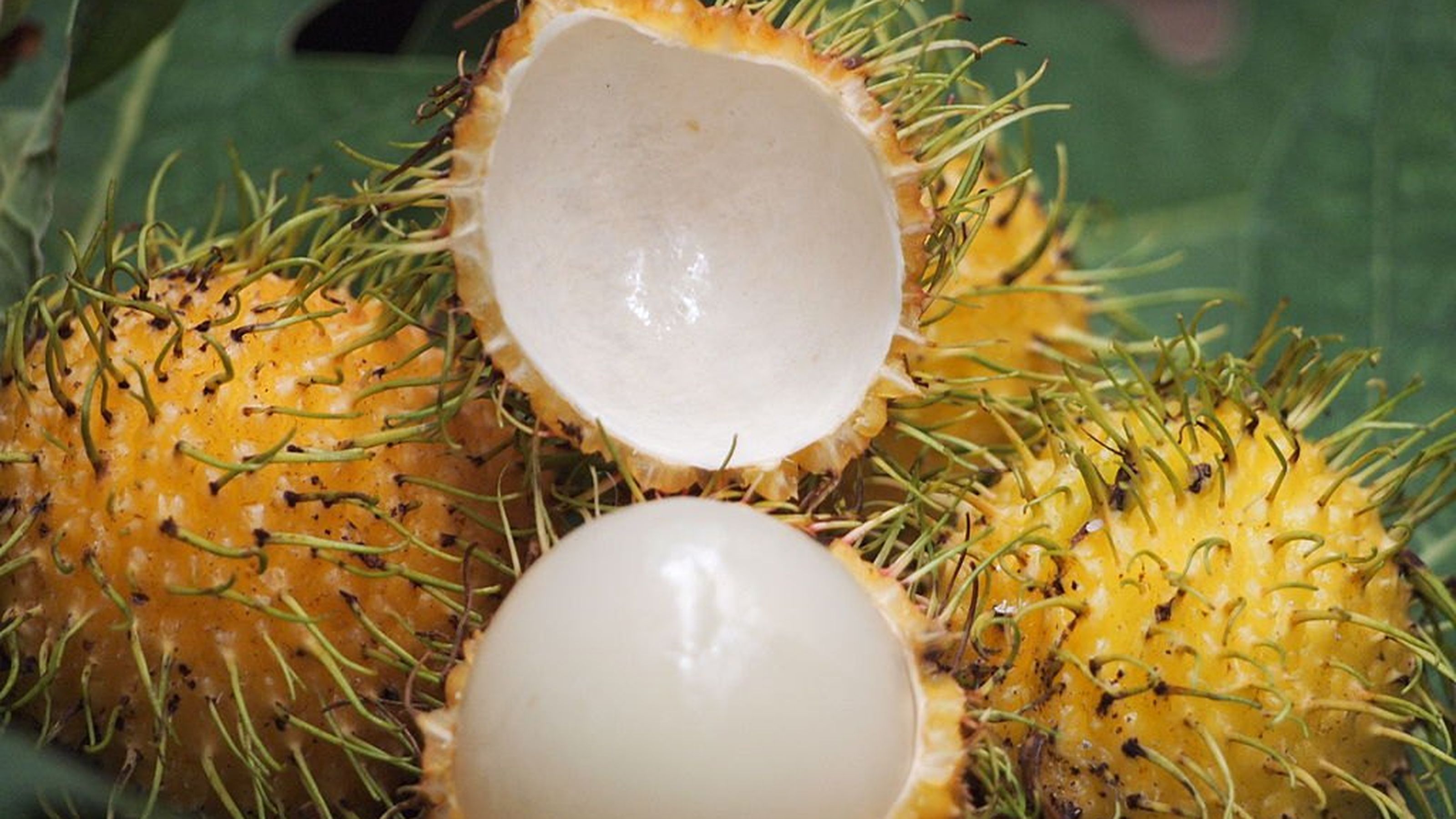 rambutan