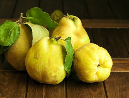 cosa fare con le mele cotogne