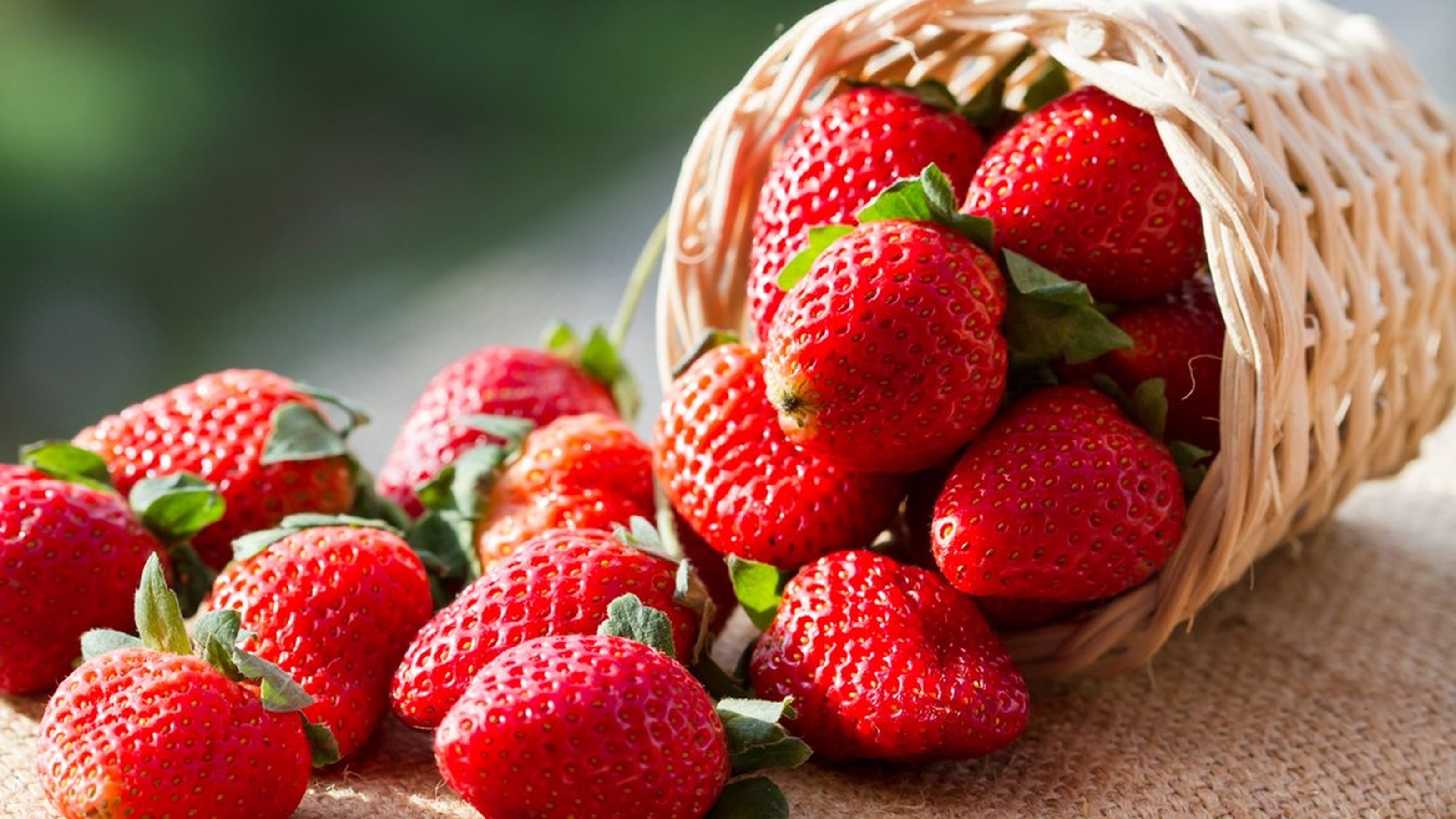 fragole