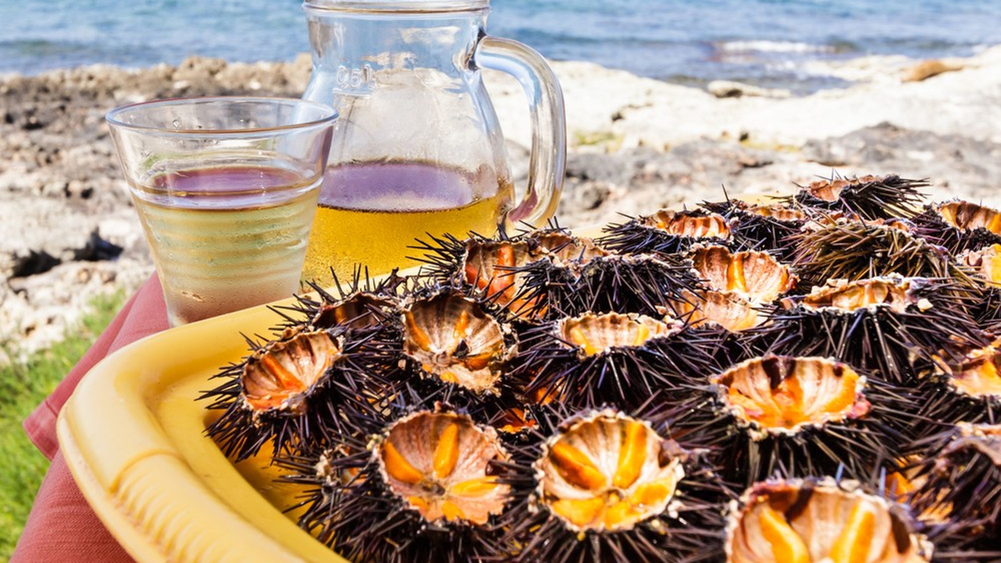 Ricci di mare