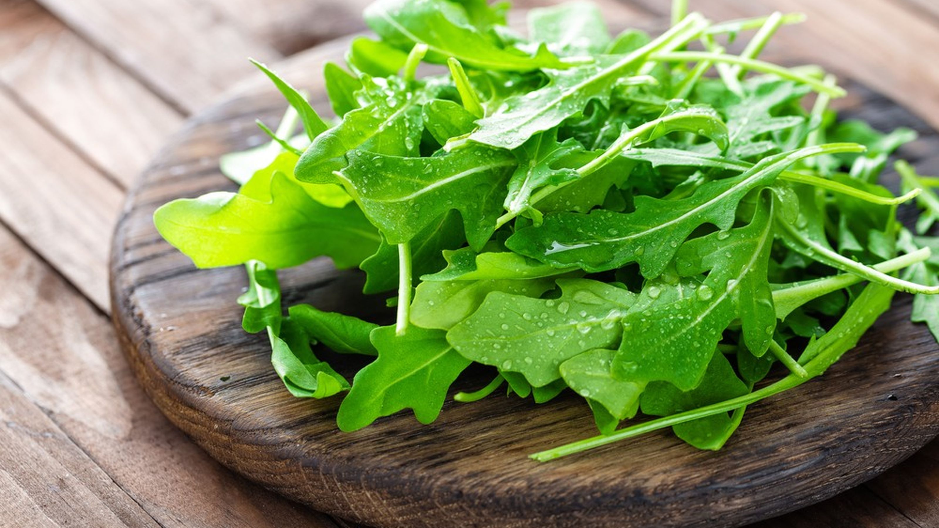 rucola