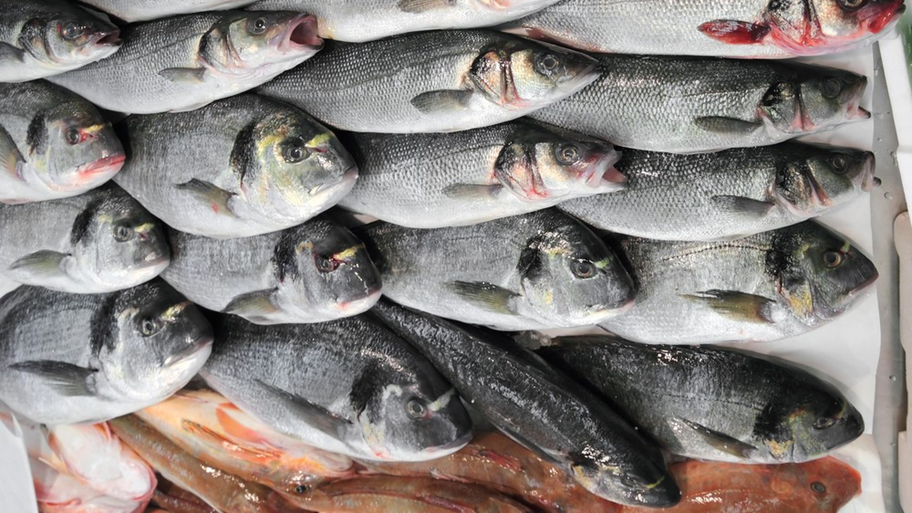 pesce mercato