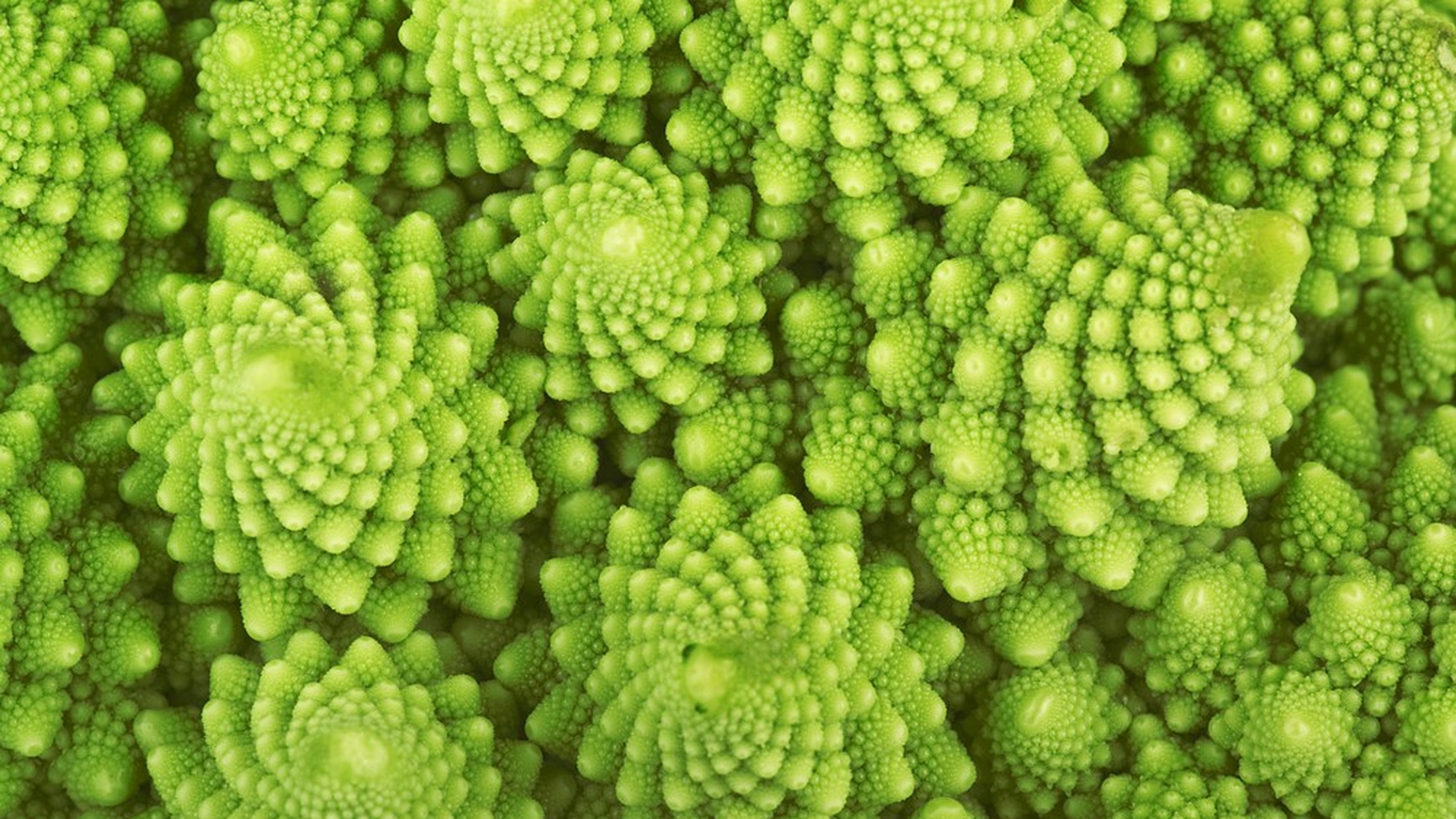 broccolo romano