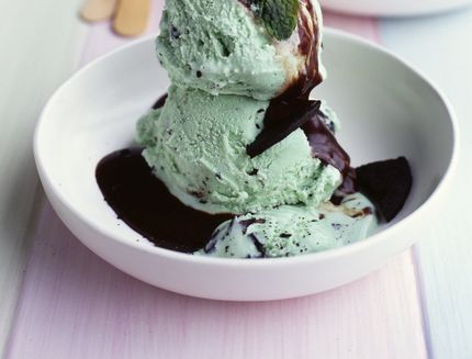 Mint ice cream with dark chocolate sauce and chocolate cookies