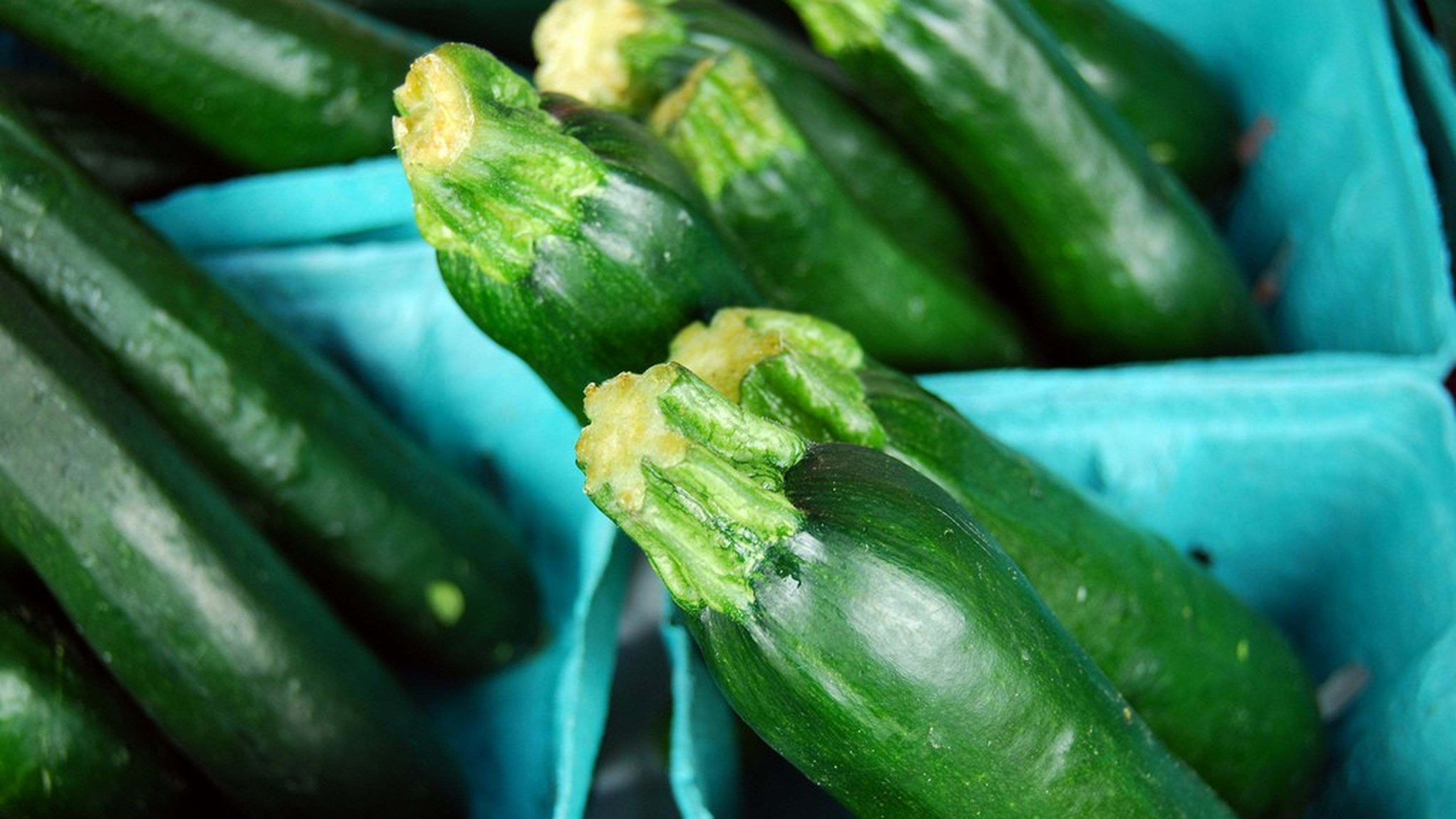 Gallery settembre zucchine
