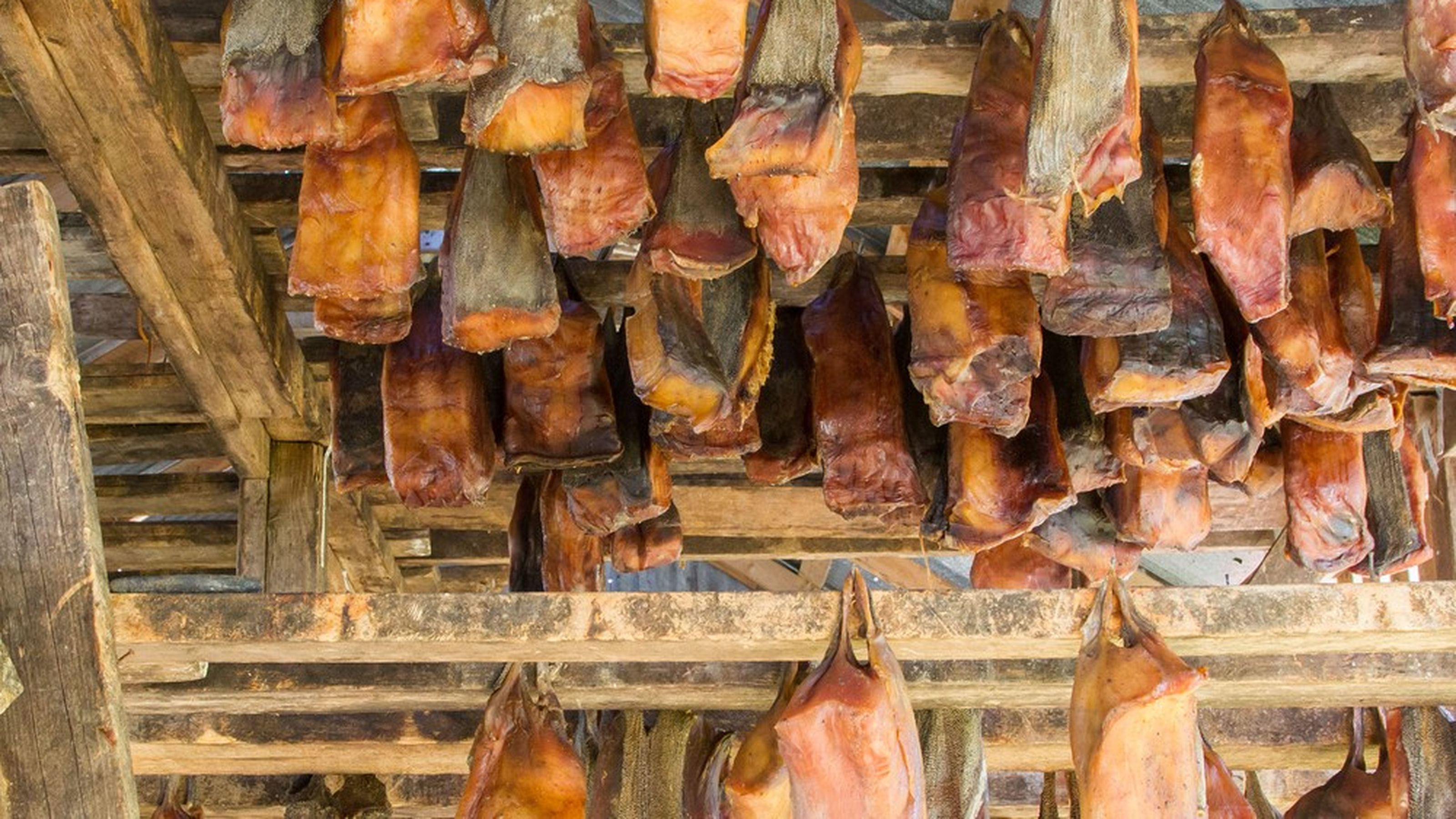 carne di squalo essiccata