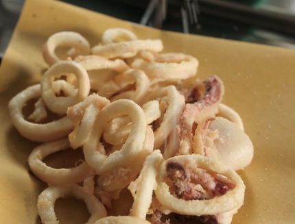calamari_fritti