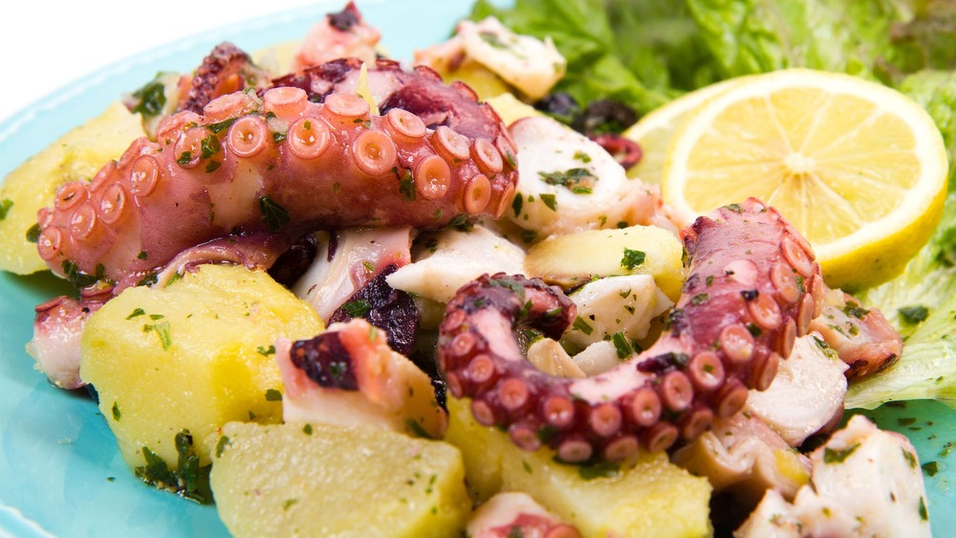Insalata di Polpo
