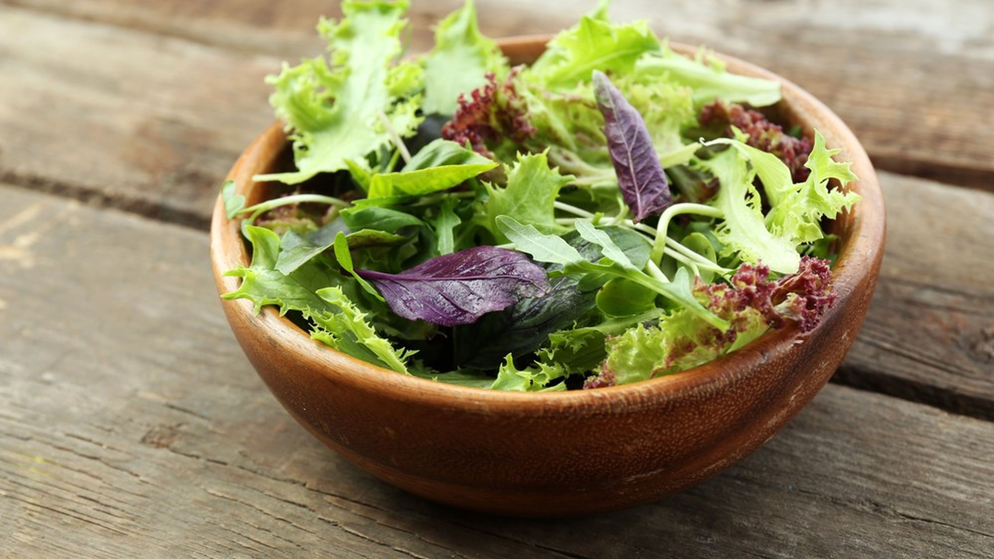 insalata