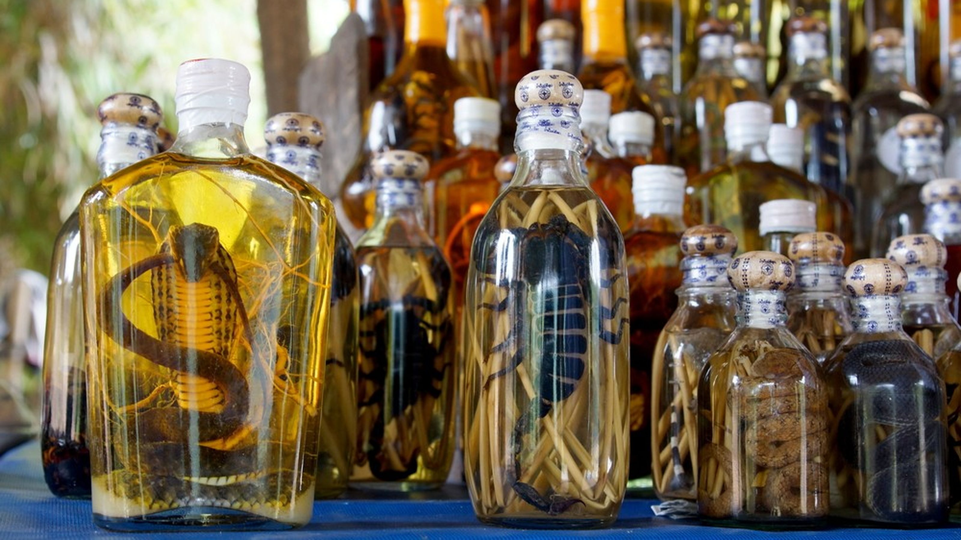 vino di serpente