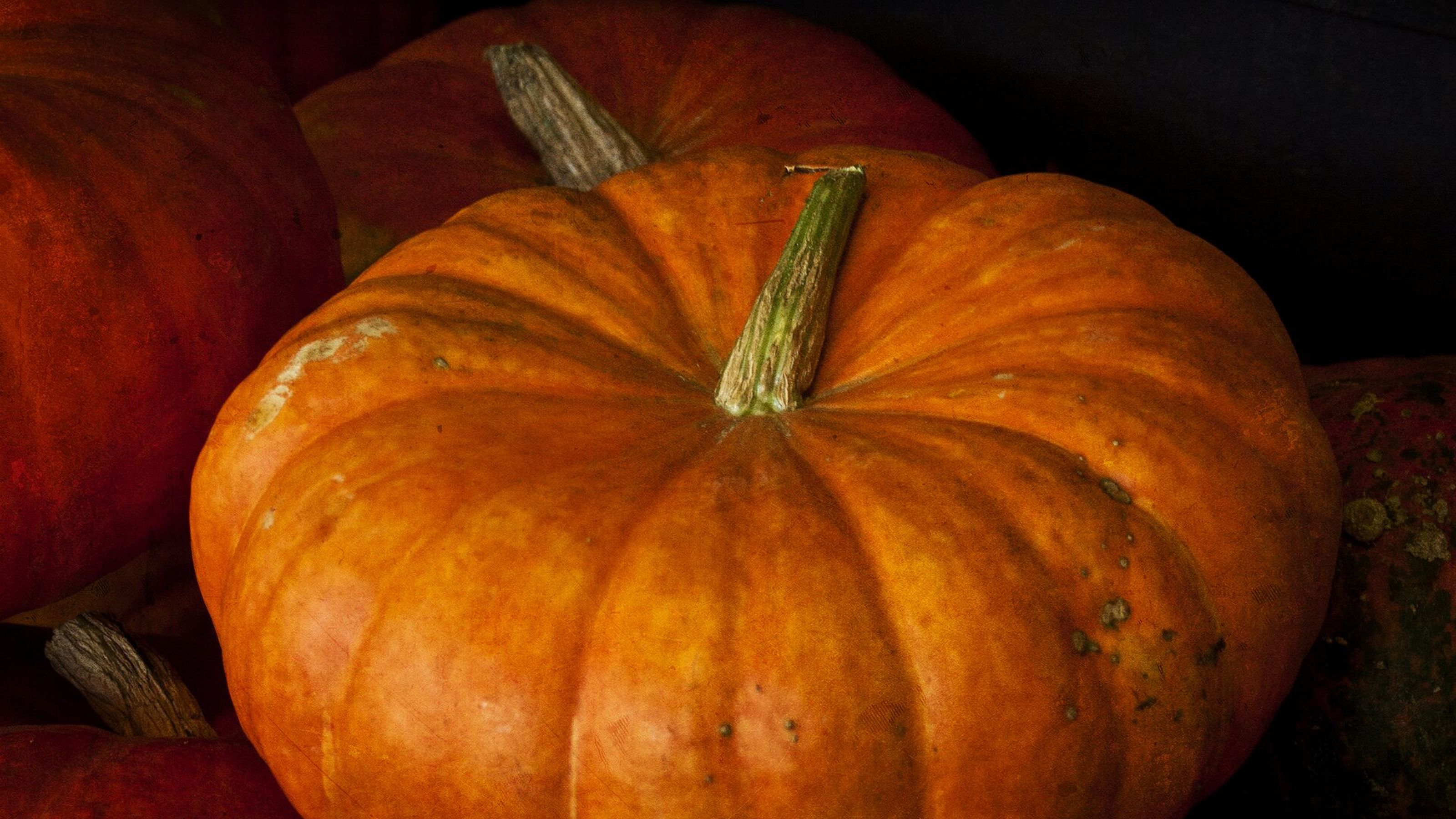Gallery settembre Zucca