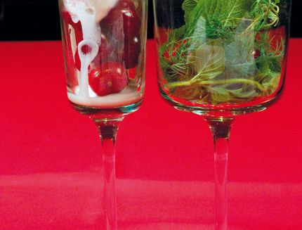 variegato-alle-ciliegie-con-erbe-aromatiche_a486