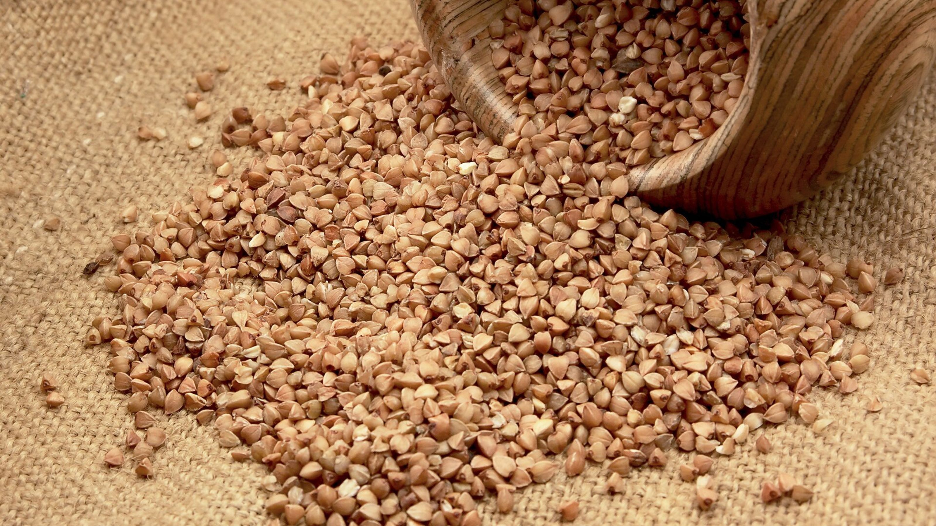 grano saraceno