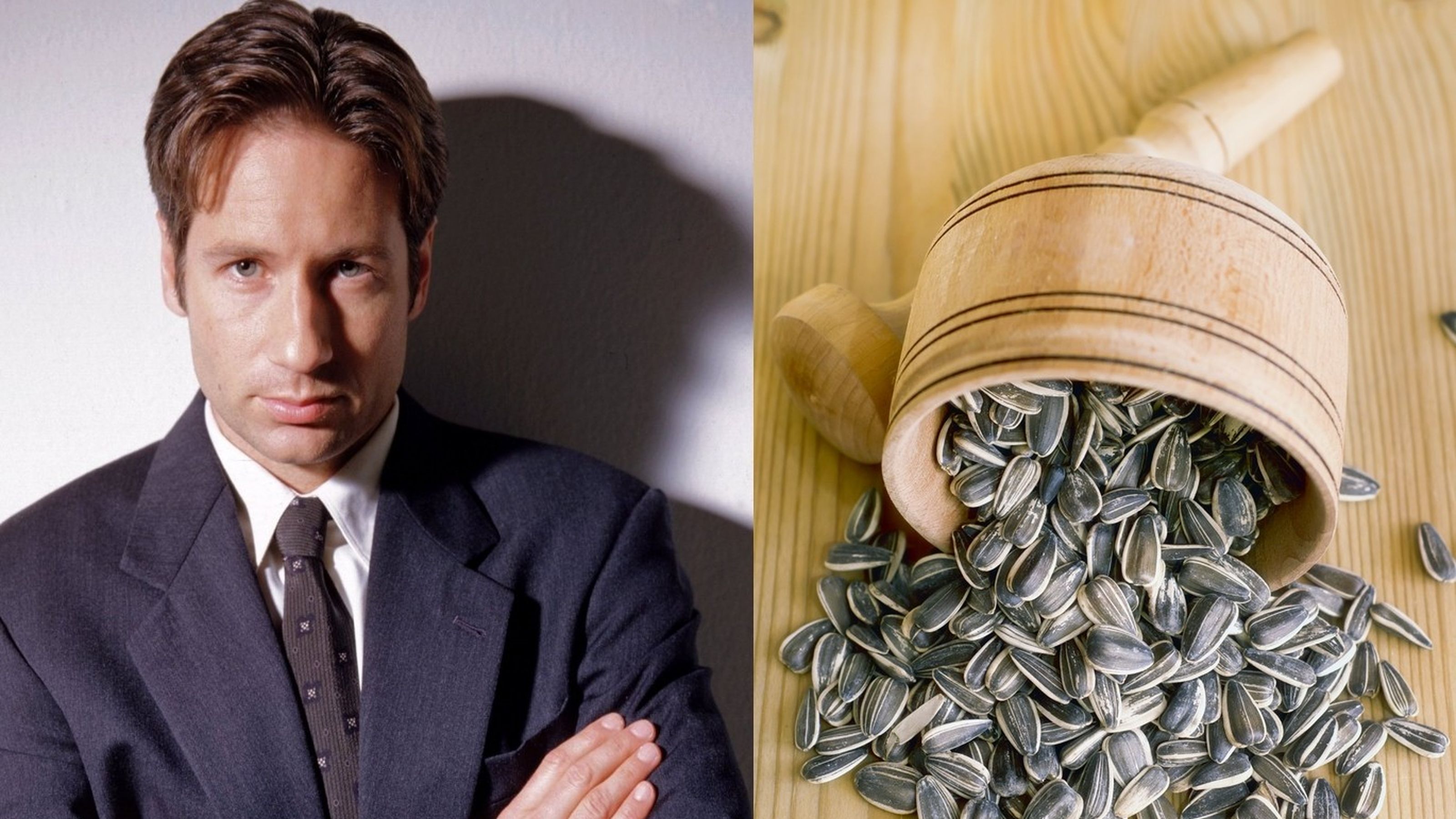 Fox Mulder
