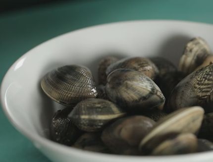 vongole still