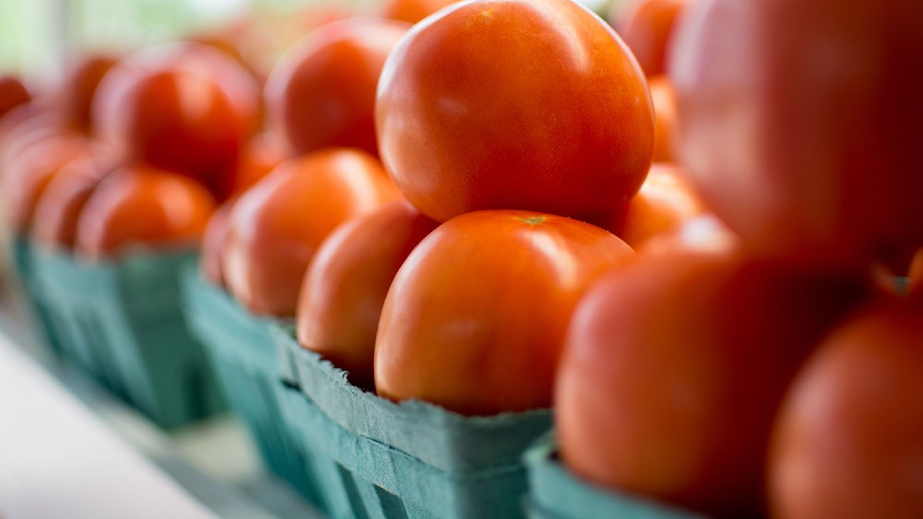 pomodori