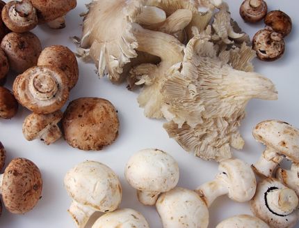 funghi misti