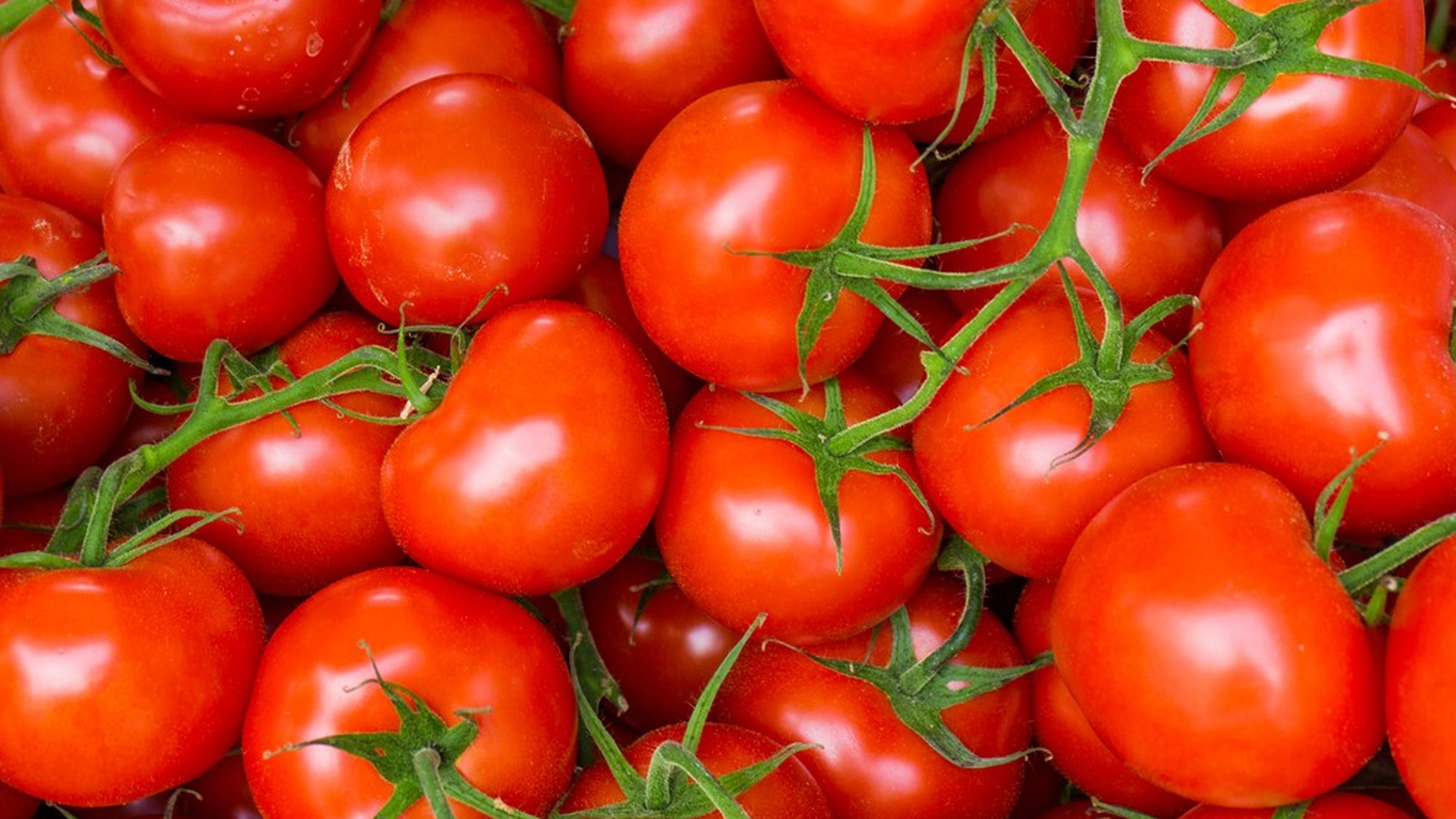 pomodori
