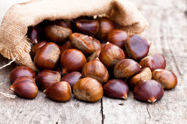 castagne
