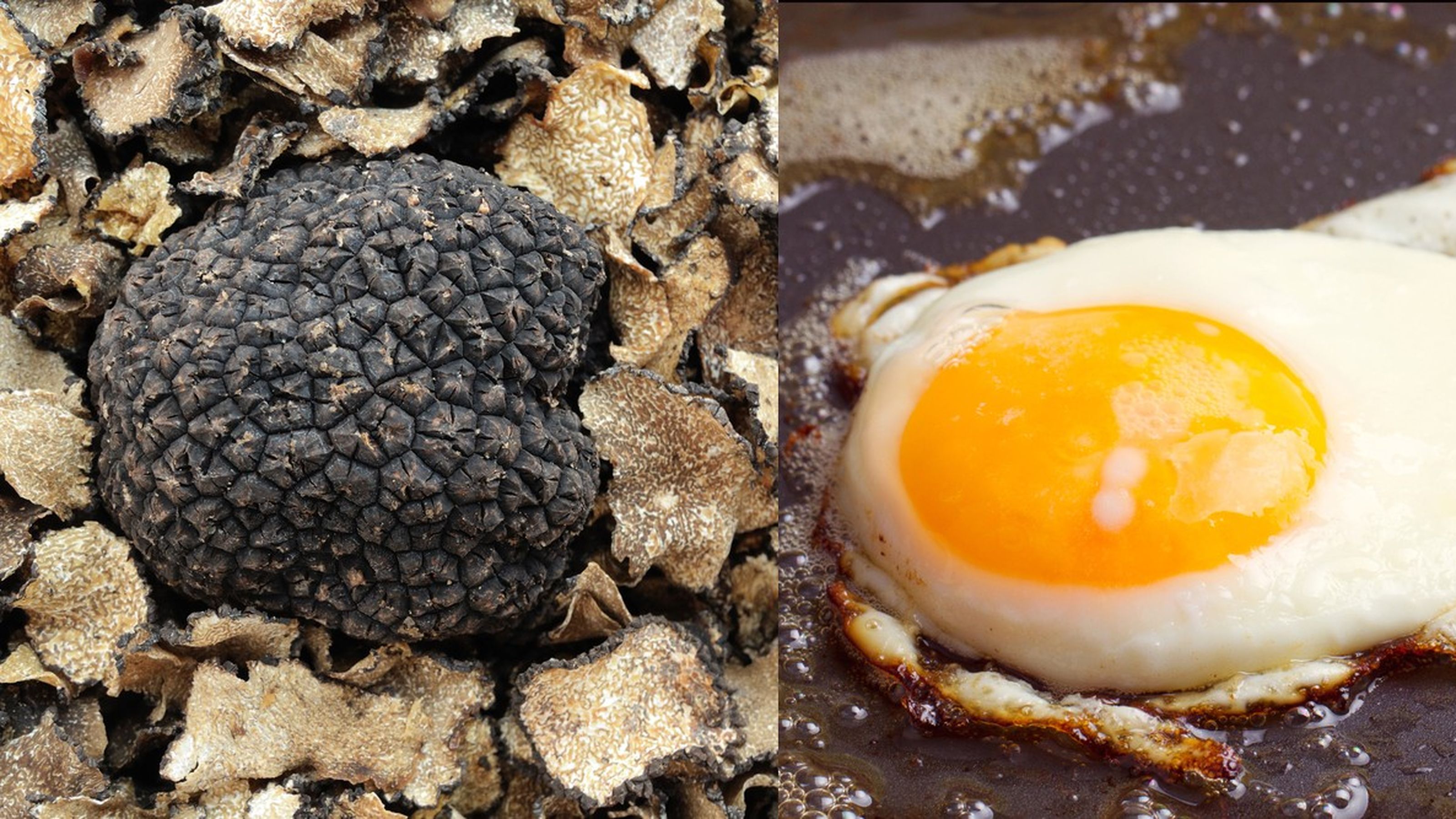 tartufo e uovo