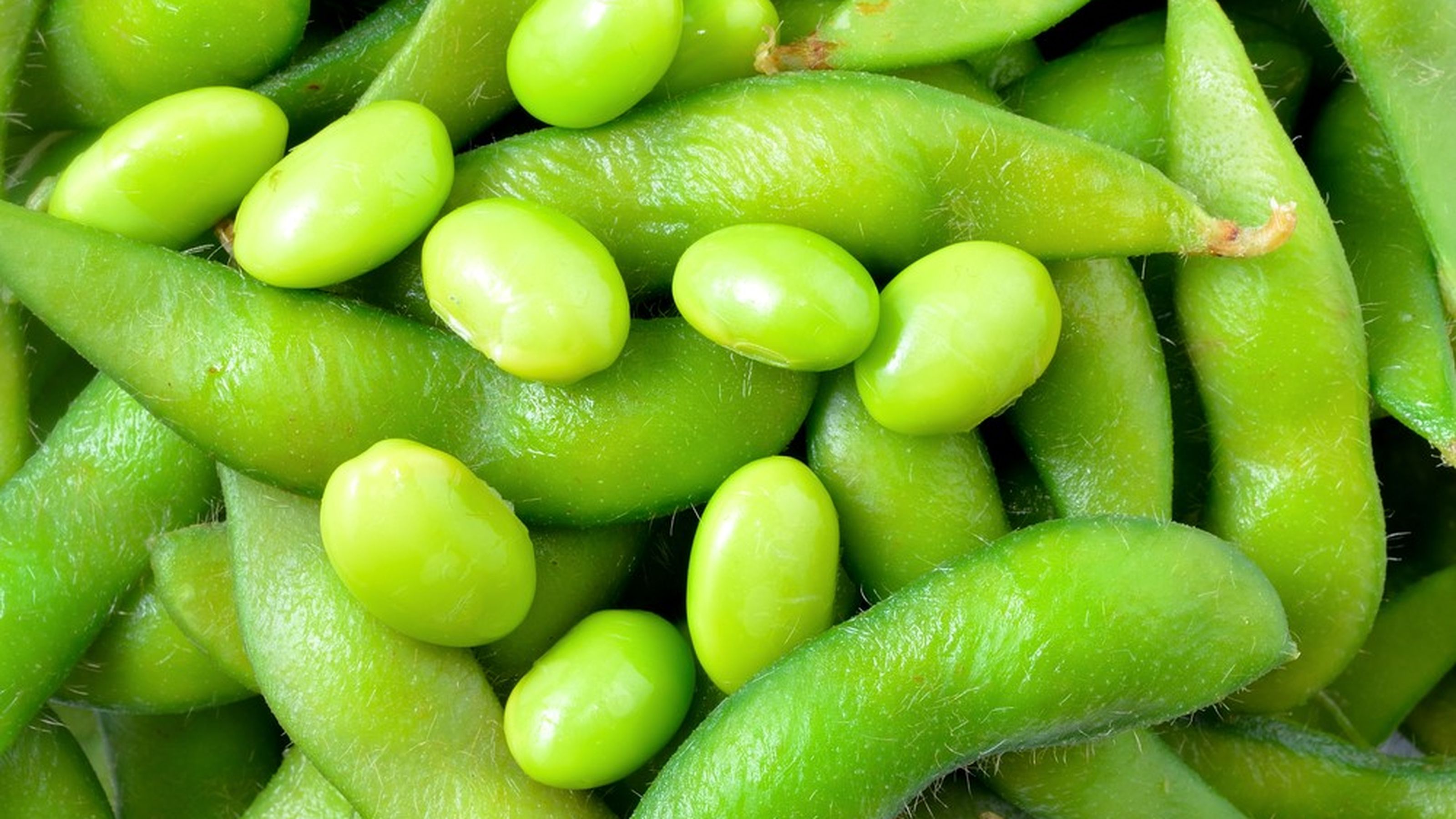 fagioli di soia