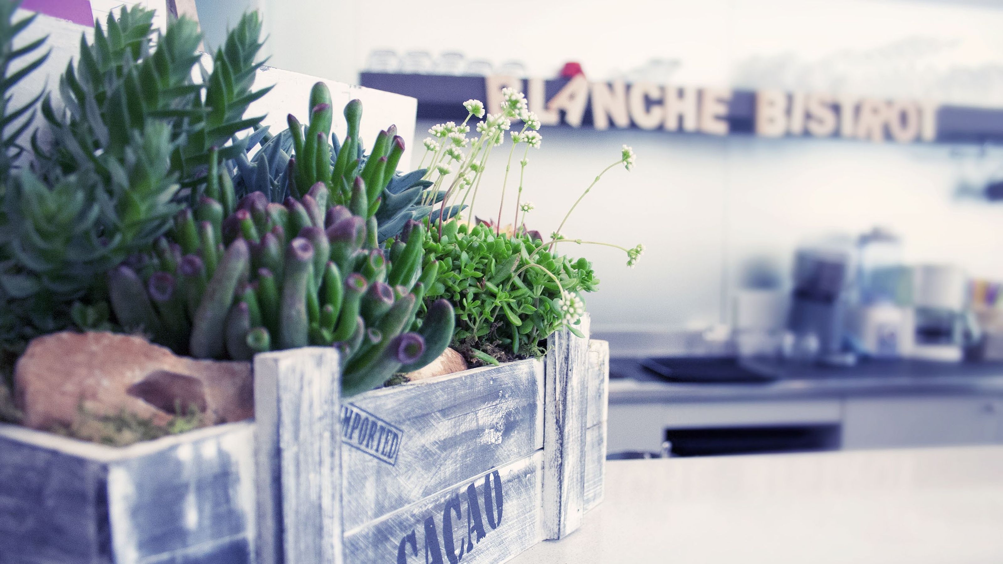 Blanche, Milano