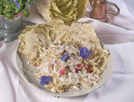 farfalle-con-crema-di-ricotta-e-radicchio_a326