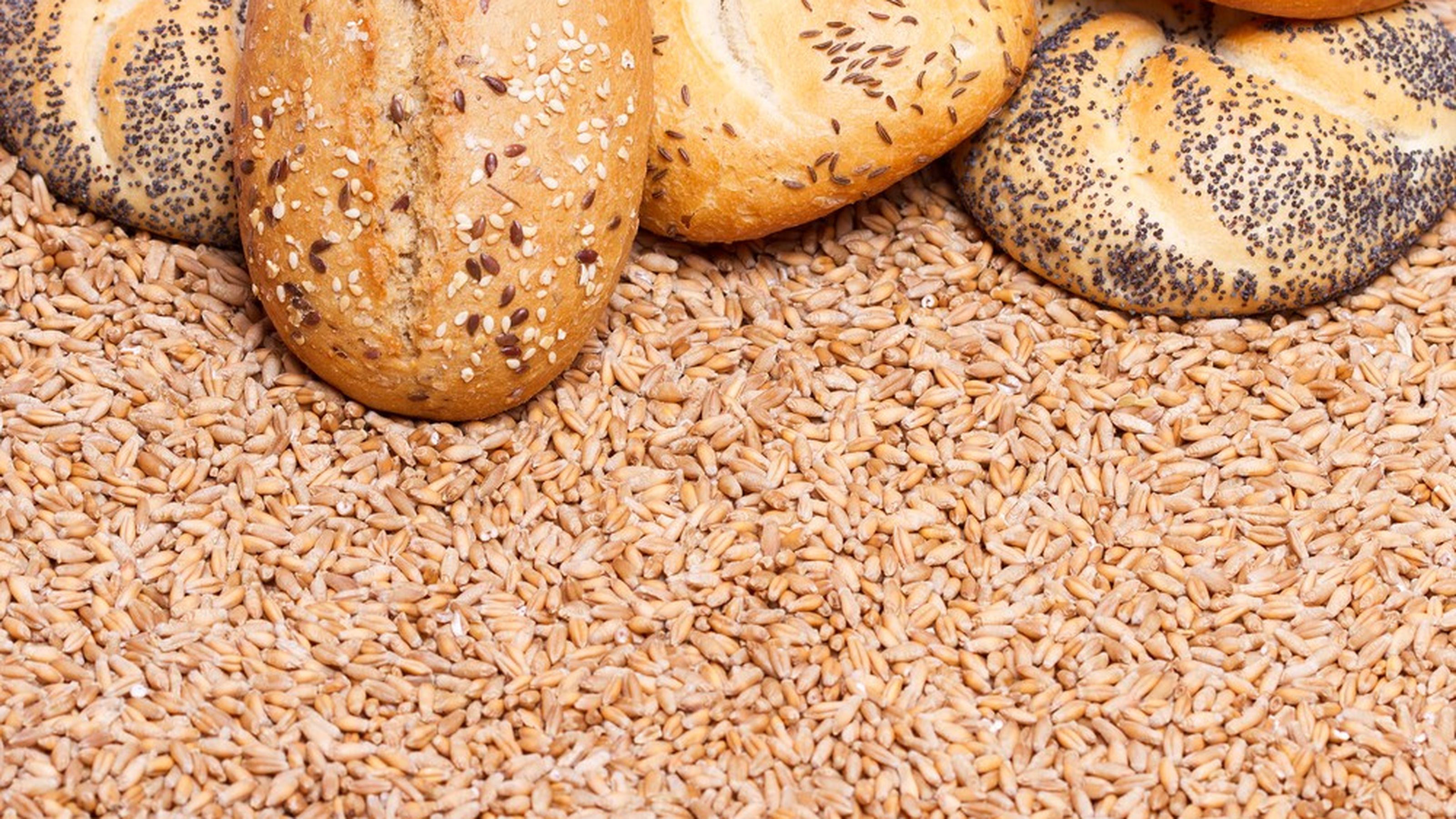 cereali integrali
