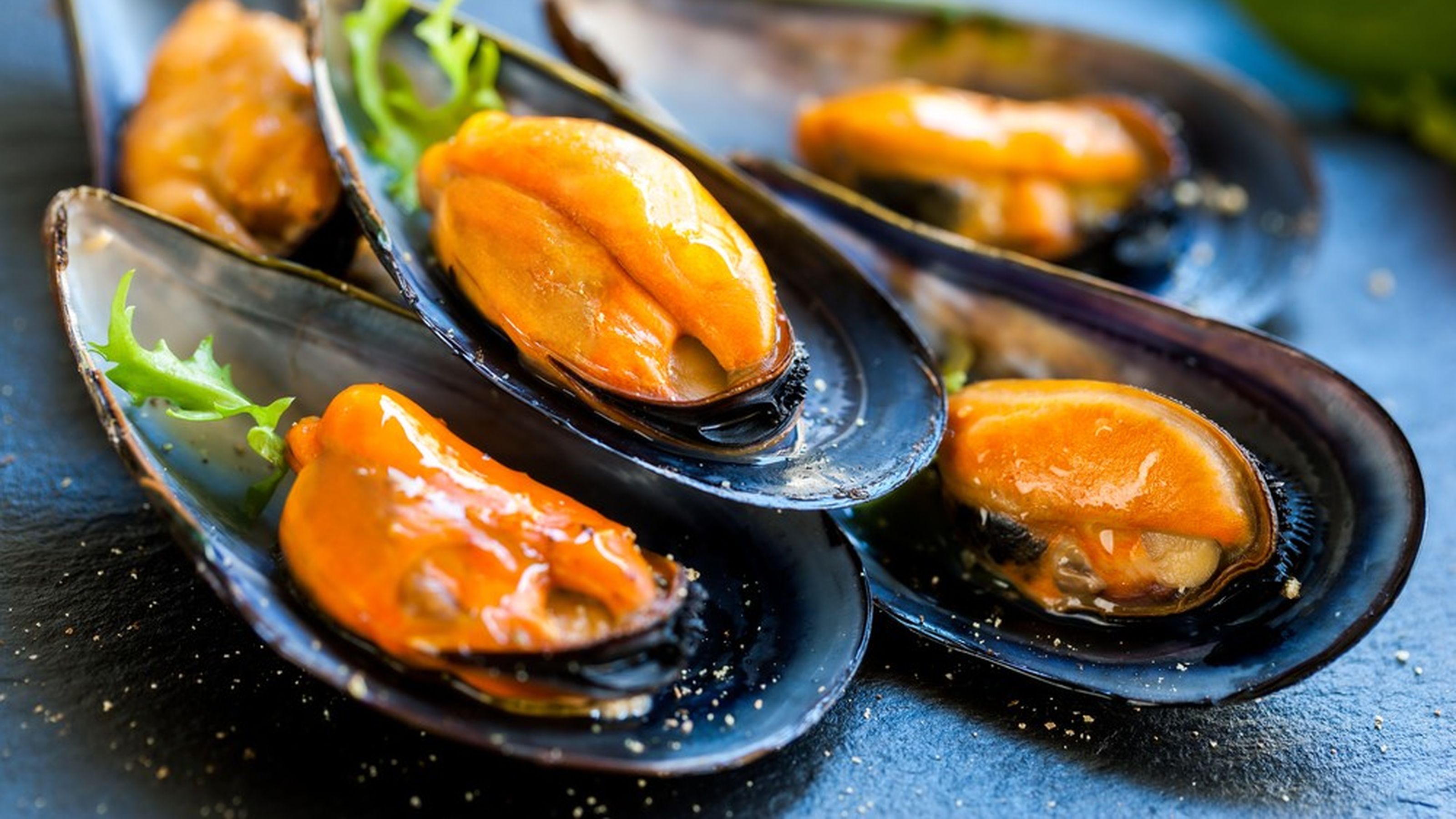 molluschi
