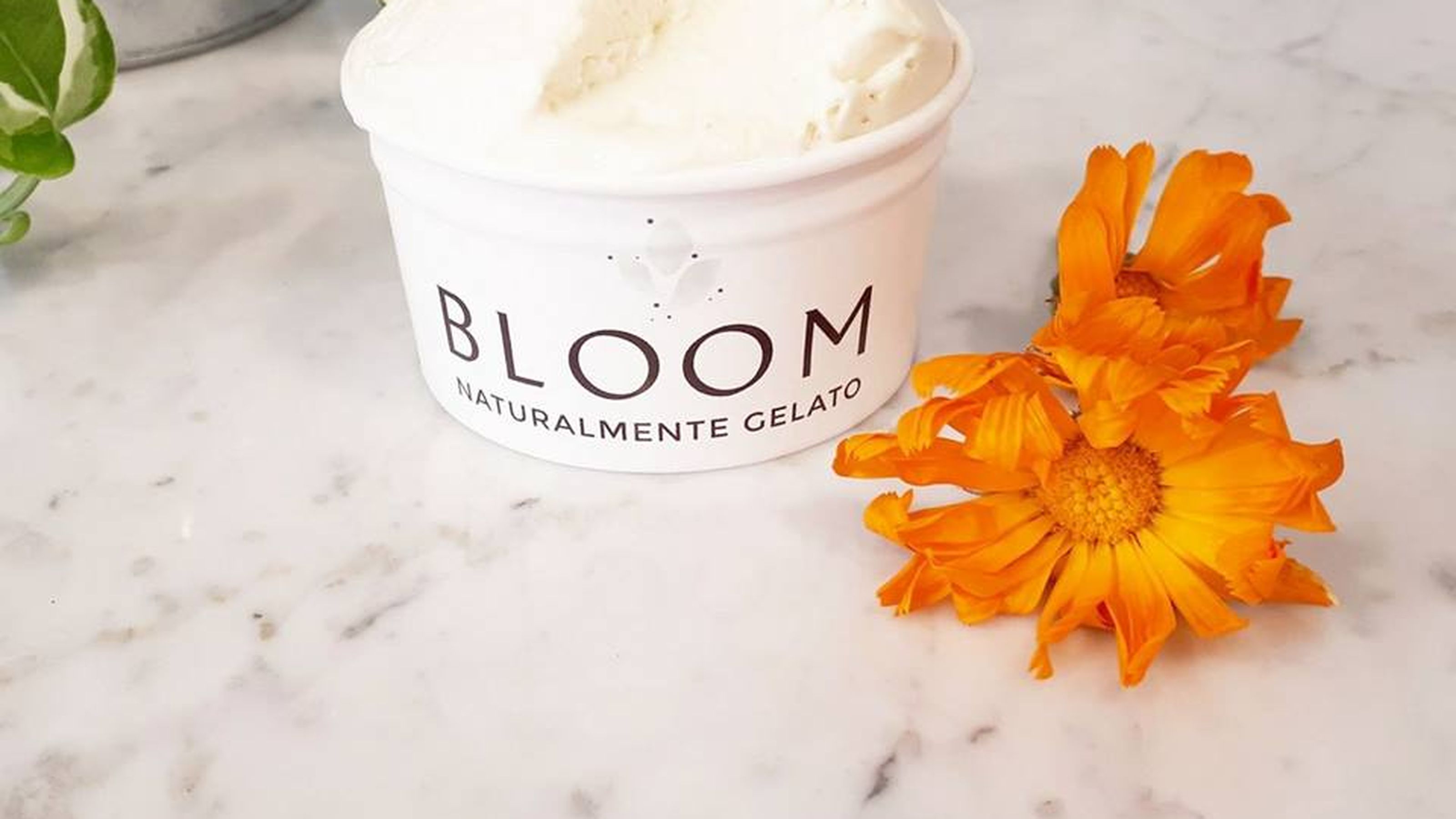 bloom