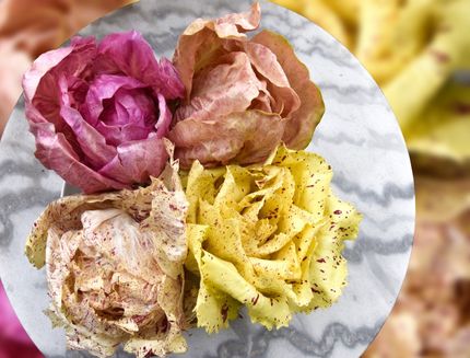 radicchio