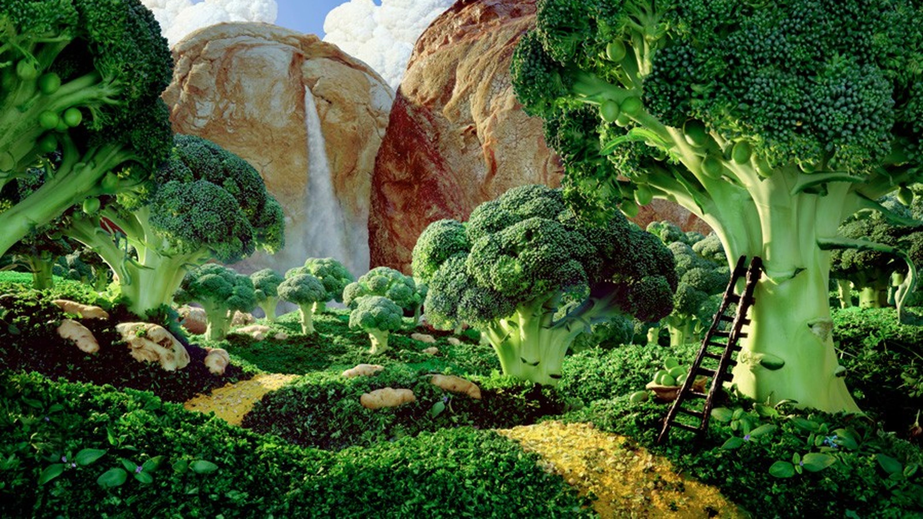 Brocolli-Forest