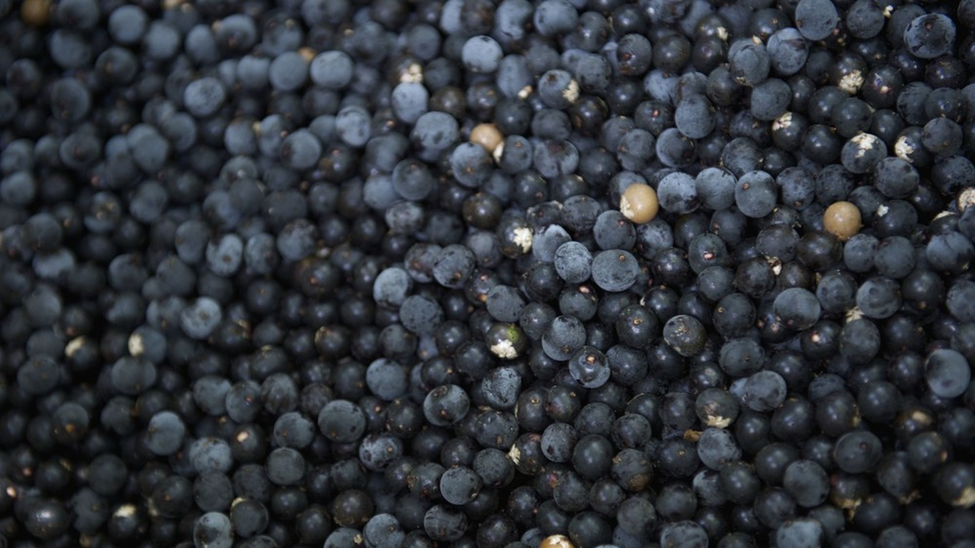 açai