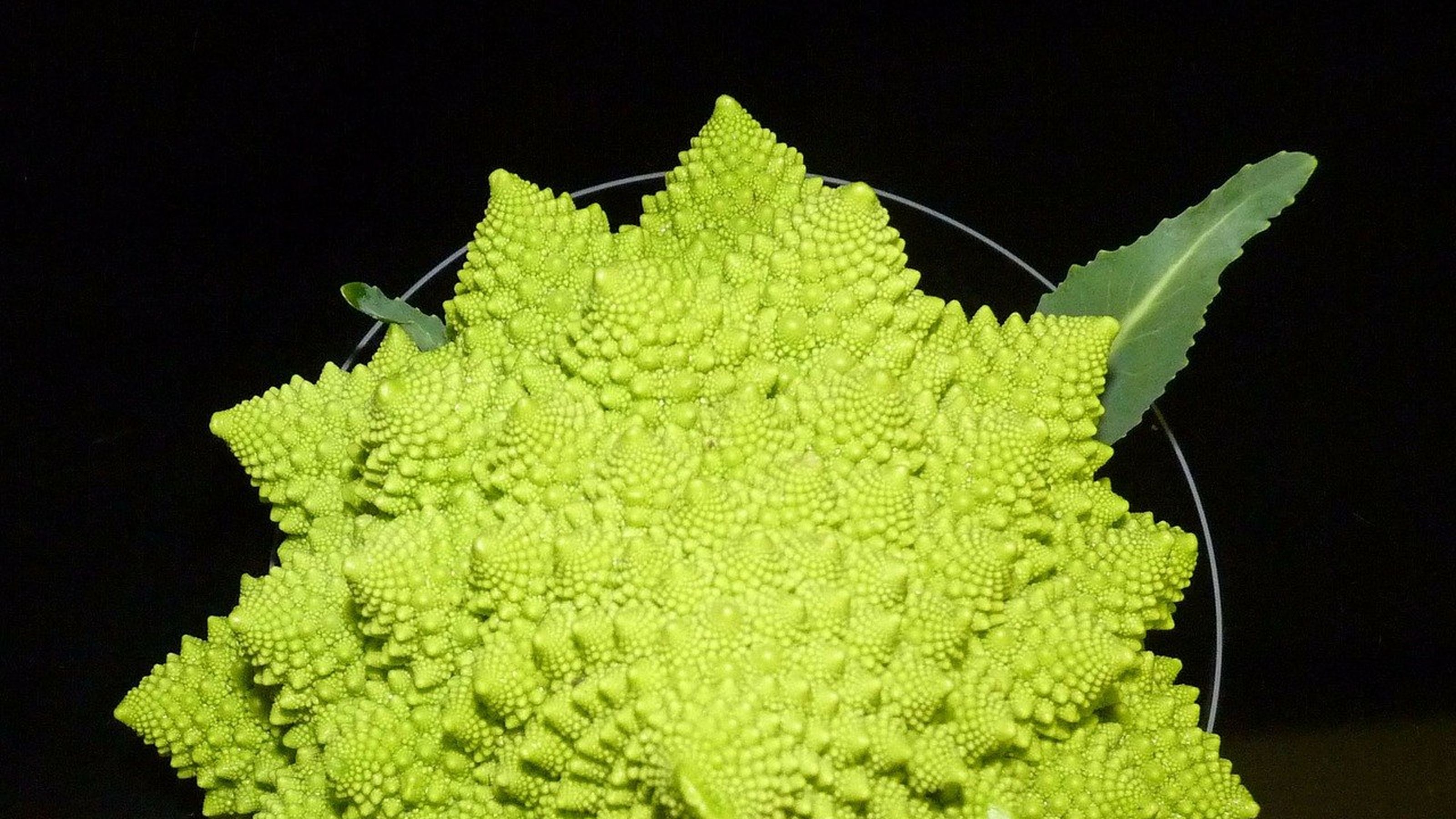 broccoli_romani