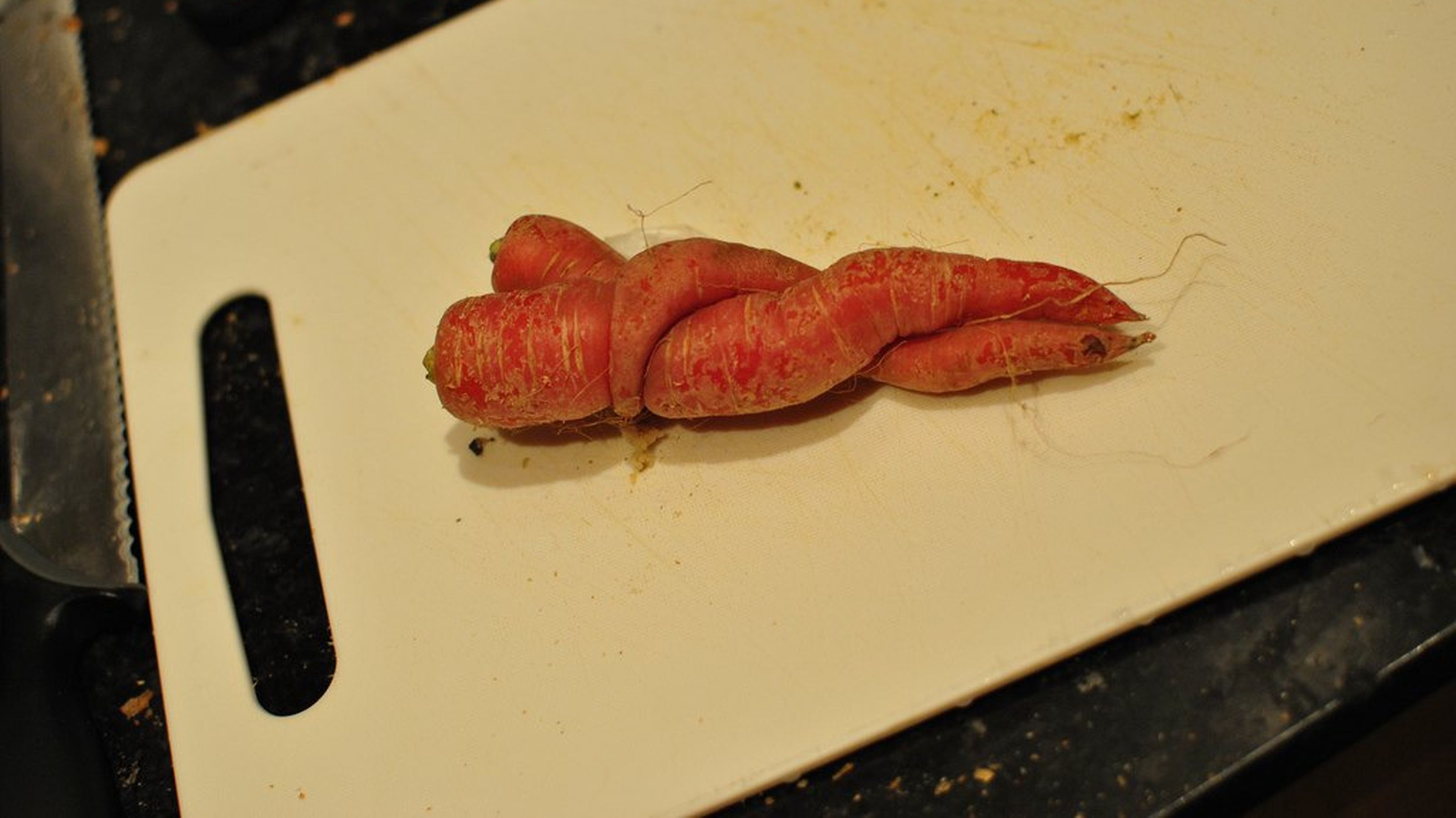carota