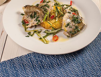 filetto-sarago-b-384