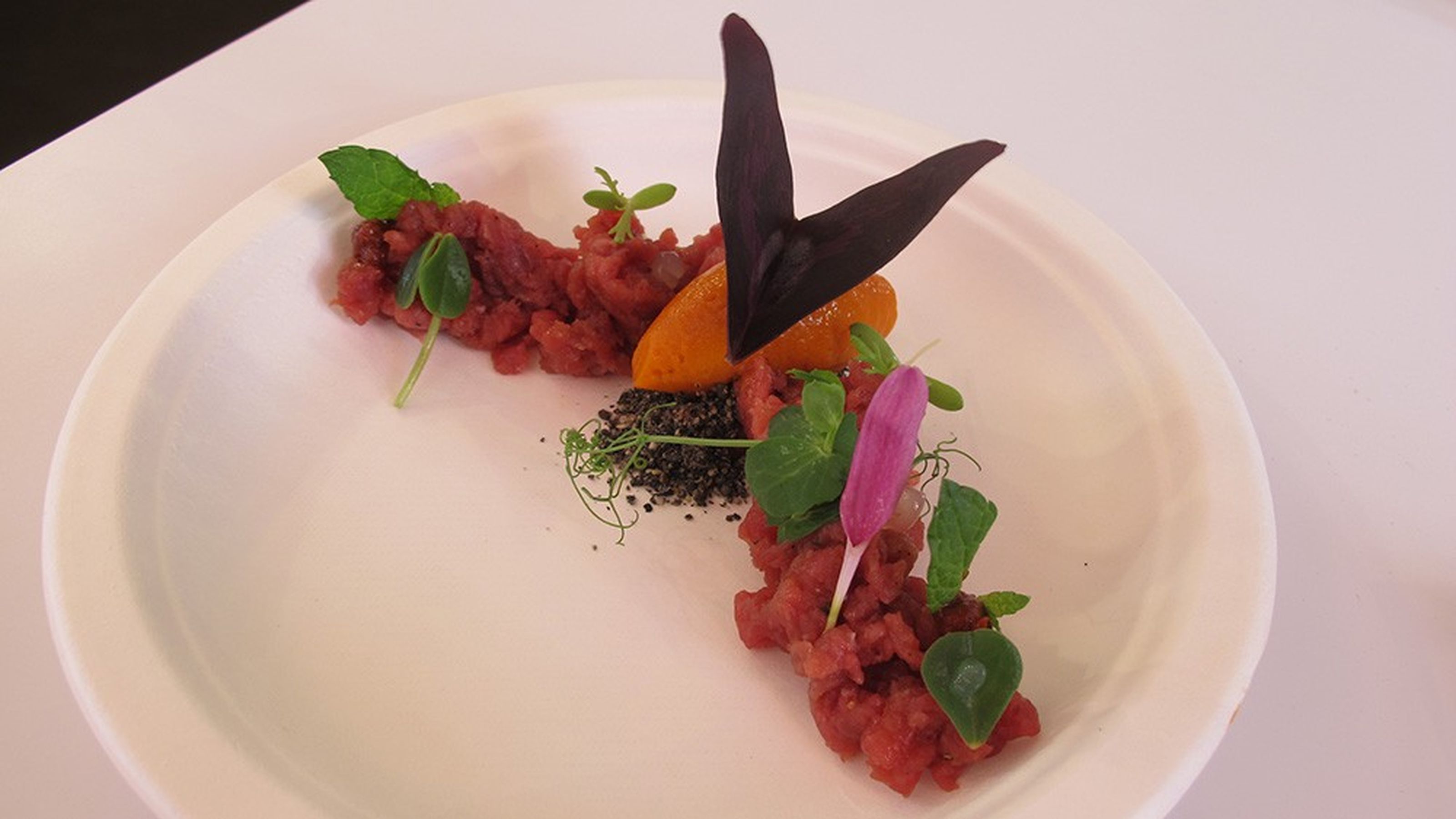 carne roy caceres