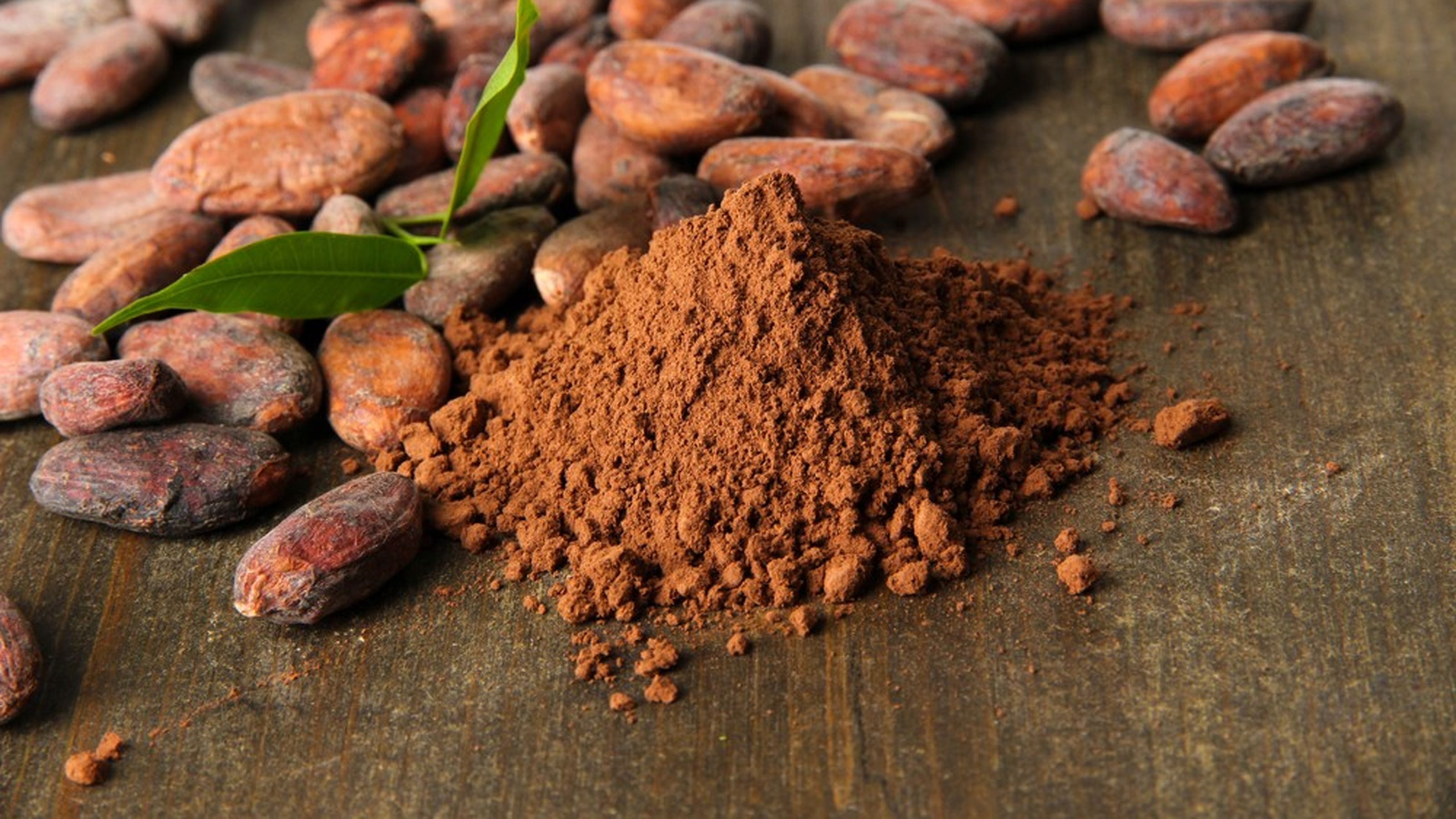 polvere cacao