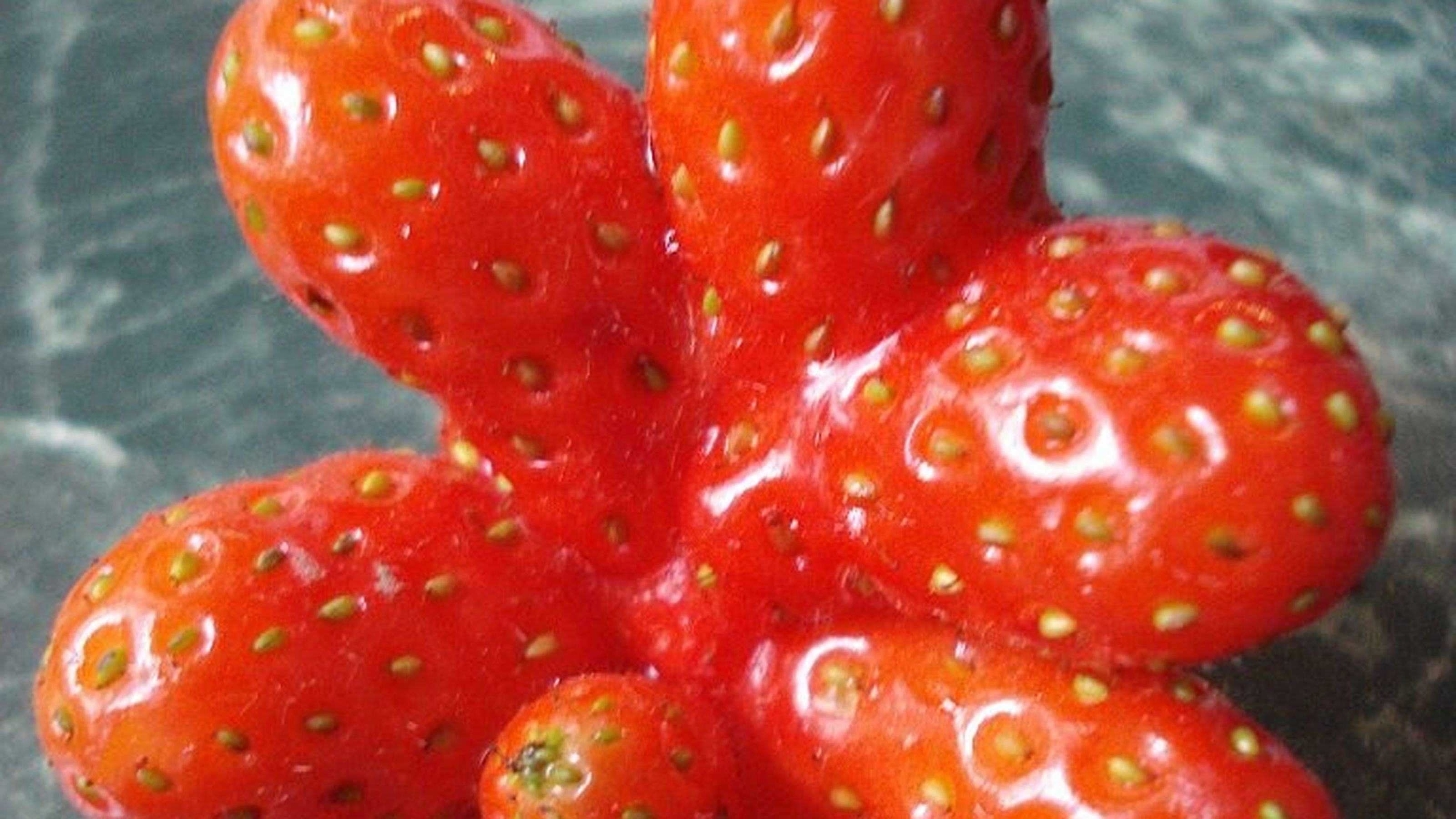 fragole