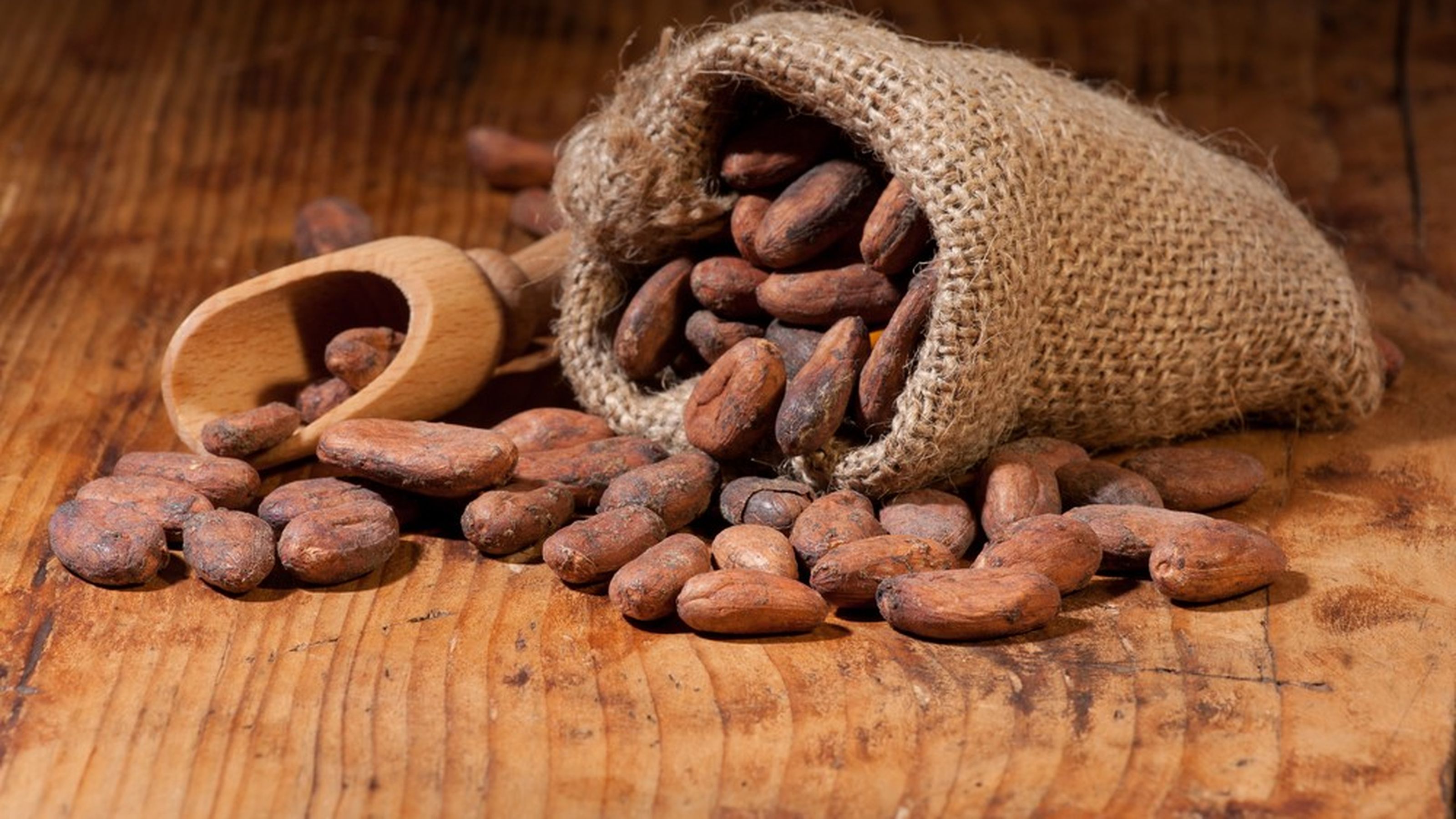 fave di cacao
