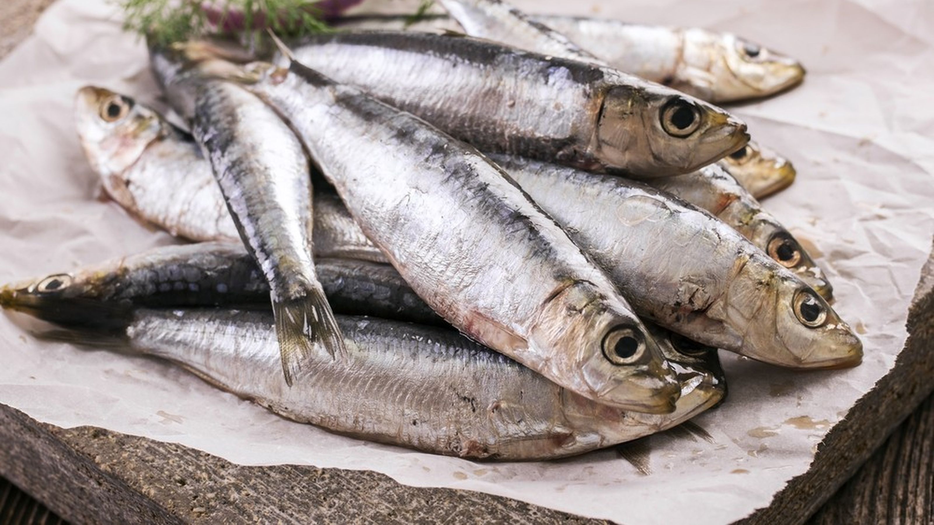 pesce azzurro