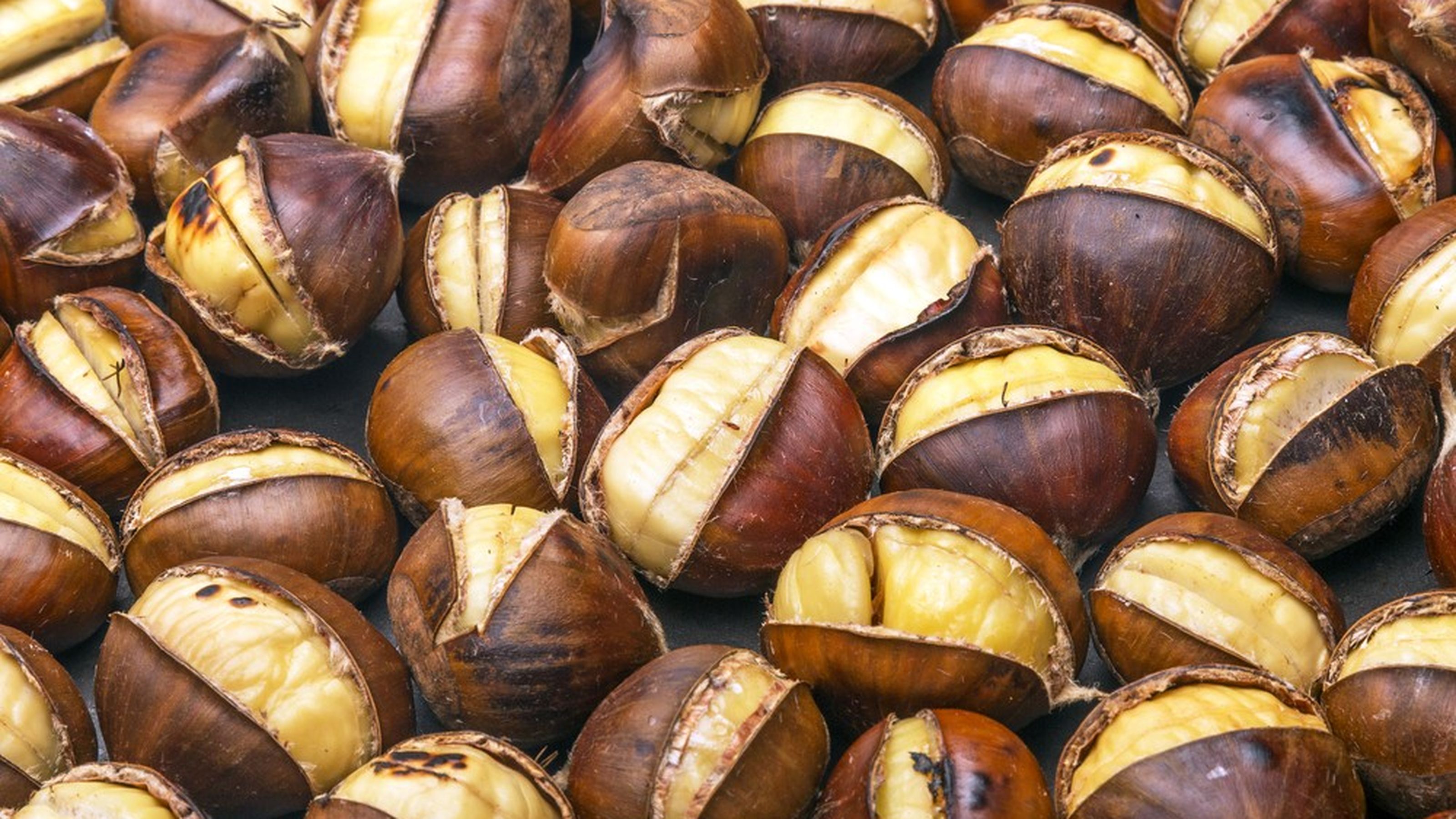 shutterstock_334507943