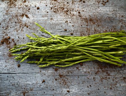 asparagi selvatici