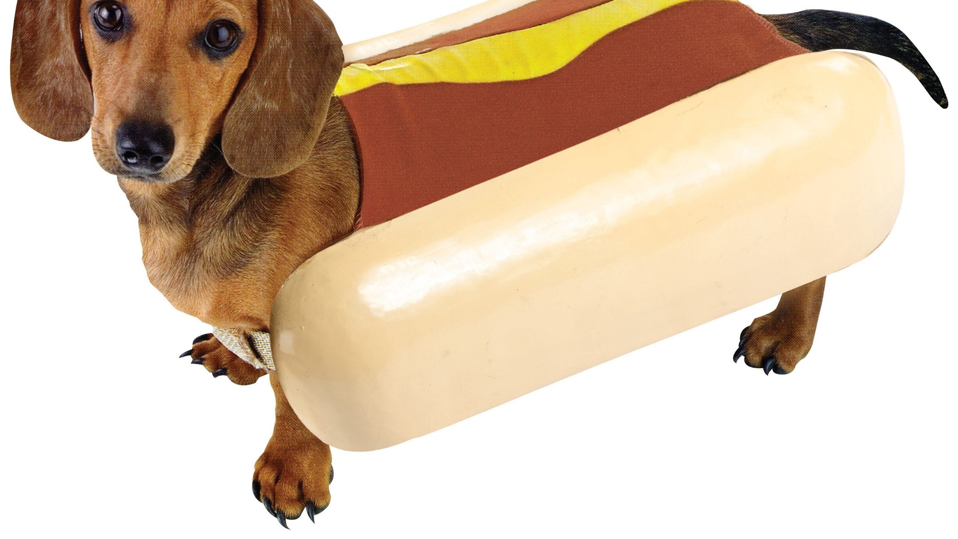 cane hotdog