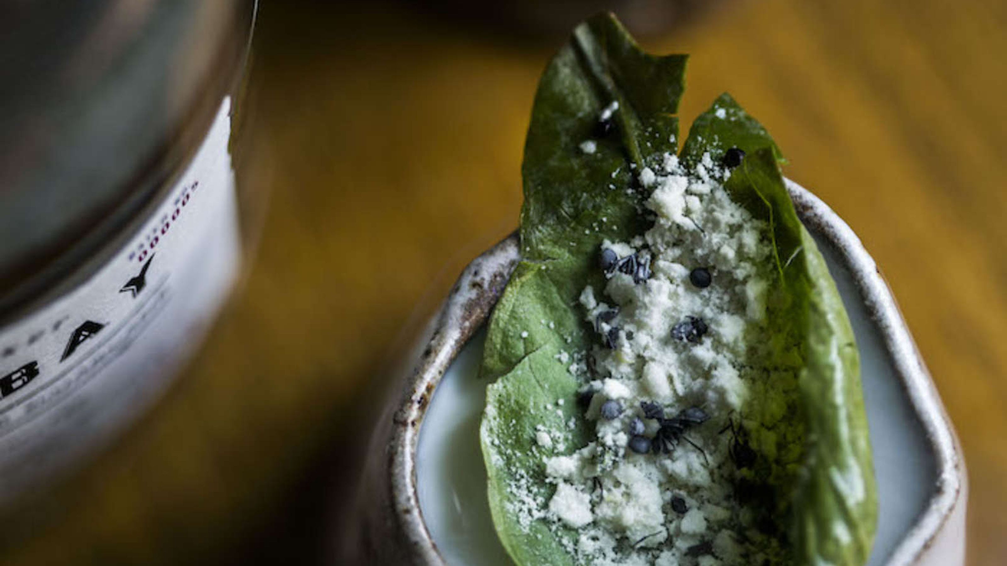 cocktail con formiche