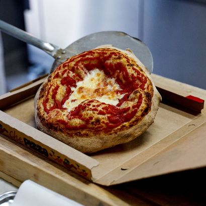 forno mollica