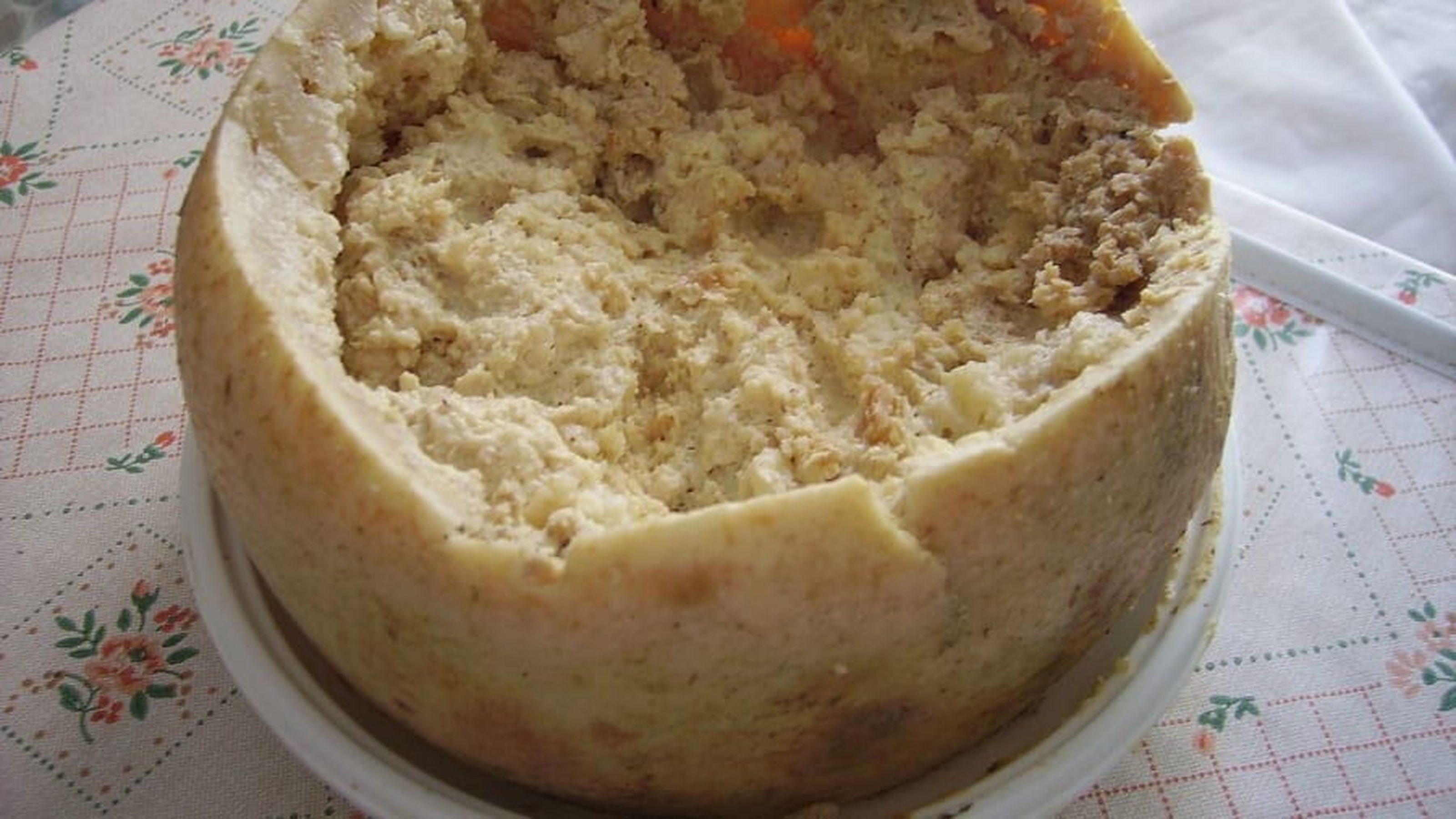 casu marzu
